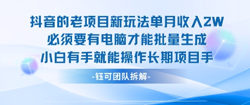 老项目新玩法单月收入2W小白有手就能操作长期项目-副业资源网