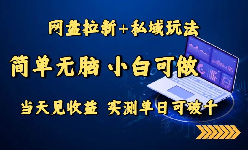 （15744期）网盘拉新+私域玩法，简单无脑，小白可做，当天见收益，实测单日可破千-副业资源网