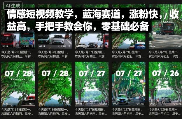 情感短视频教学，蓝海赛道，涨粉快，收益高，手把手教会你，零基础必备-副业资源网
