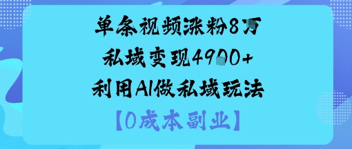 单条视频涨粉8W私域变现1k+利用AI做私域玩法-副业资源网