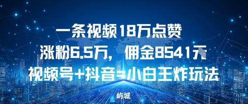 一条视频18W点赞涨粉6.5W，佣金8541视频号+抖音=小白王炸玩法-副业资源网