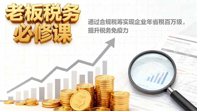 老板税务必修课,通过合规税筹实现企业年省税百万级,提升税务免疫力-副业资源网