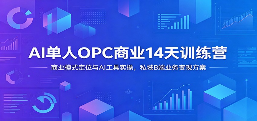 AI单人OPC商业14天训练营：商业模式定位与AI工具实操，私域B端业务变现方案-副业资源网