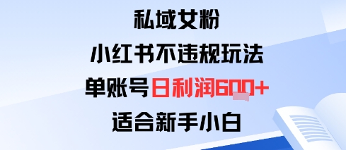 私域女粉：小红书平台不违规玩法单账号日利润6张+适合新手小白-副业资源网