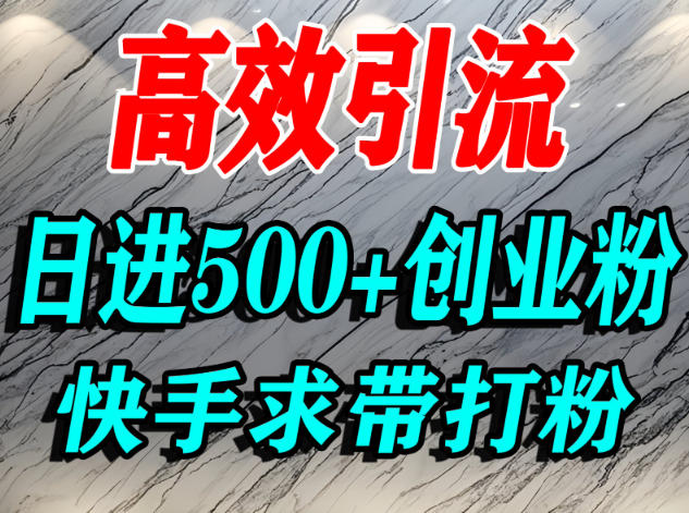 怎么打创业粉？快手求带视角精准引流创业粉，宝妈、学生群体日进500+精准流量-副业资源网