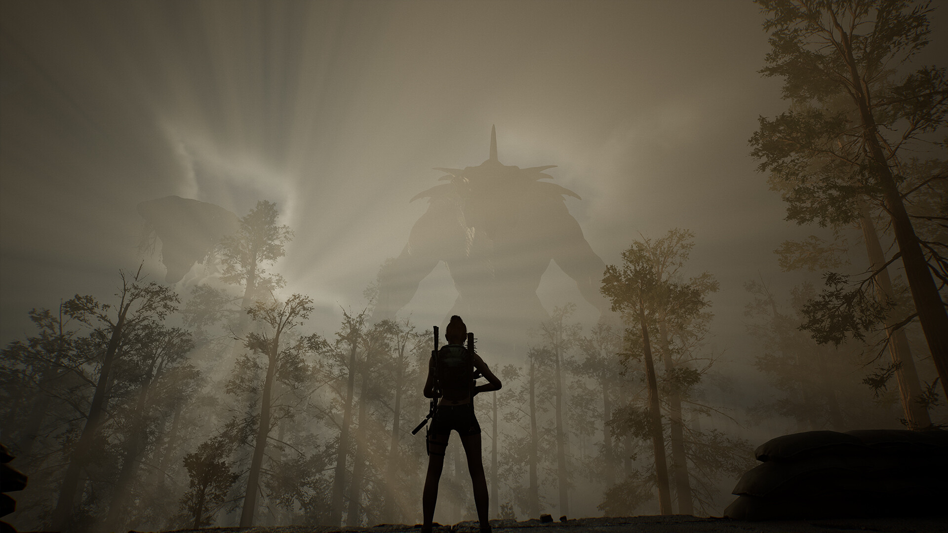 生命效应/LIFE EFFECT 生命效应/LIFE EFFECT