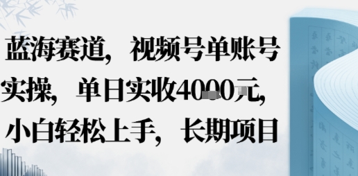 蓝海赛道,视频号单账号实操,单日实收1k,小白轻松上手,长期项目-副业资源网