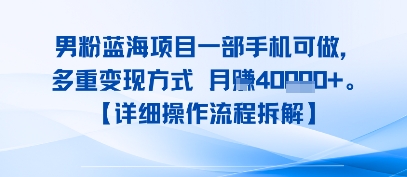 8月新男粉蓝海项目一部手机可做，多重变现方式 月入4W+【详细操作流程拆解】-副业资源网