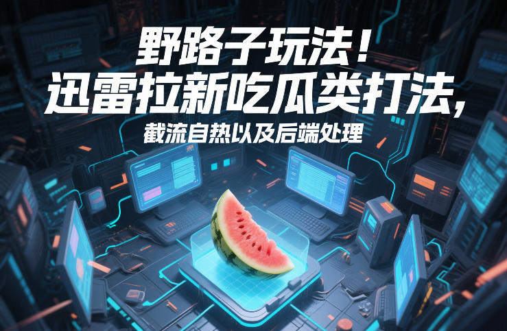 野路子玩法！迅雷拉新吃瓜类打法，截流自热以及后端处理-副业资源网