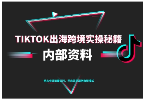 TikTok跨境电商0-1搭建运营，TK出海跨境实操秘籍（10月更新）-副业资源网