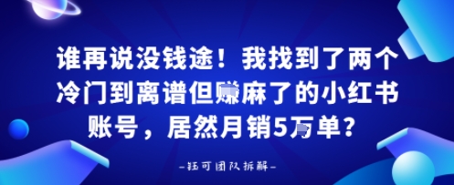 谁再说没钱途！我找到了两个冷门到离谱但賺麻了的小红书账号，居然月销5W单？-副业资源网