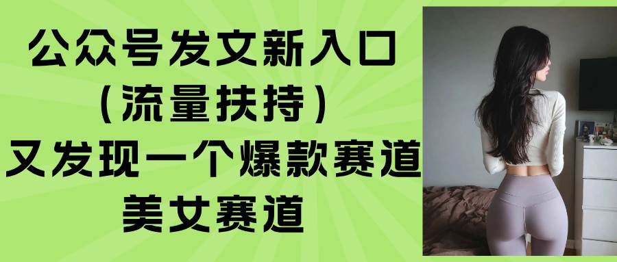 （15781期）公众号发文新入口（流量扶持），又发现一个爆款赛道：美女赛道-副业资源网