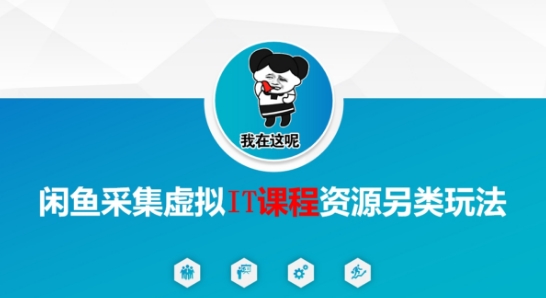 闲鱼采集虚拟IT课程资源另类玩法，干货满满-副业资源网
