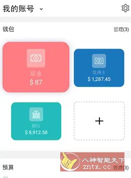 Money Manager轻松记账 v11.2 专业版-副业资源网
