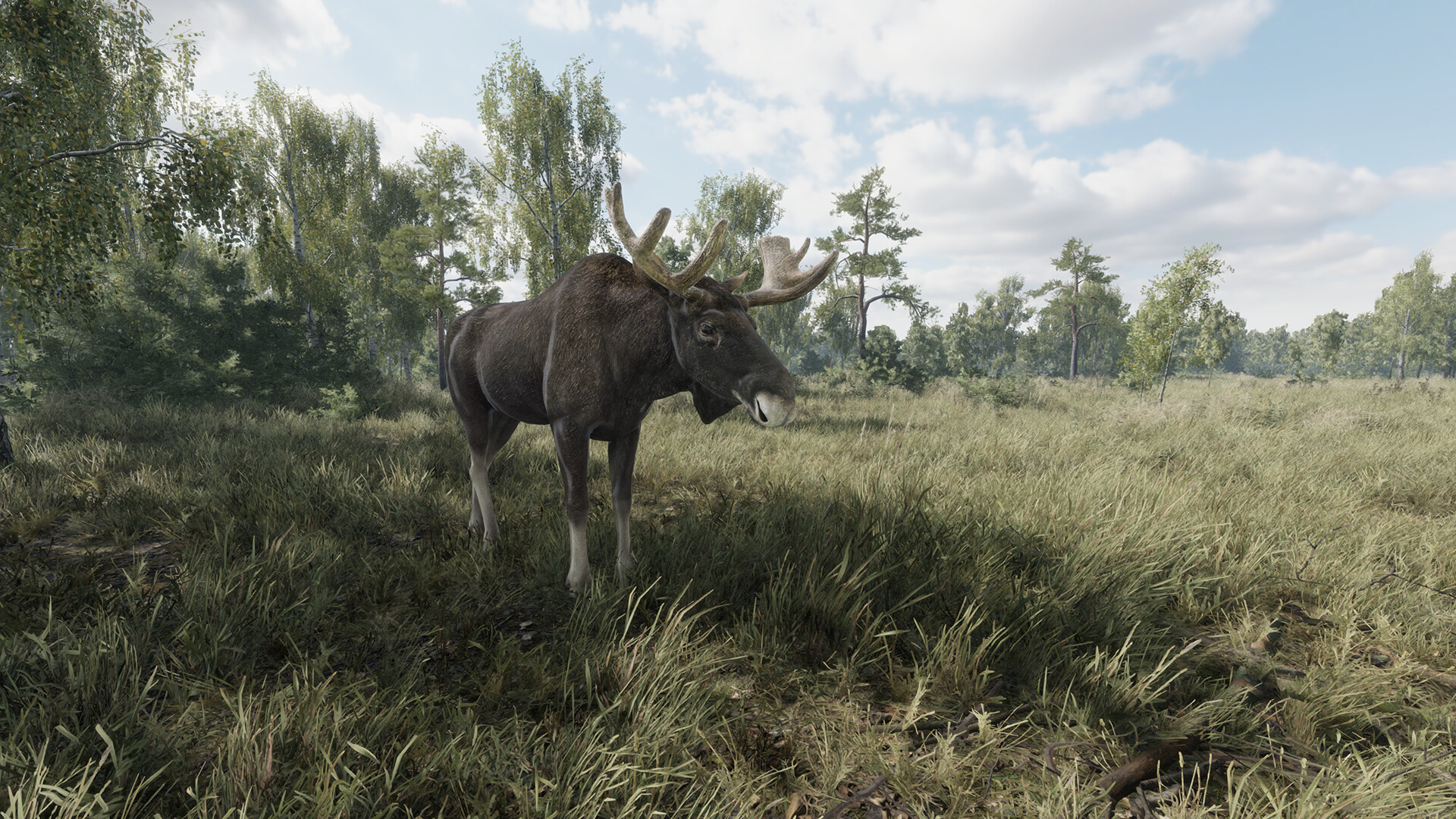 猎捕行动/On the Hunt-副业资源网