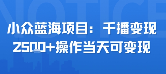 小众蓝海项目，千播变现2.5k+操作当天可变现-副业资源网