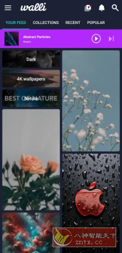 Walli Pro 4K壁纸 2.12.89高级版-副业资源网