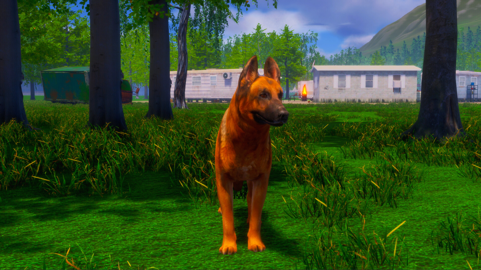 迷途狗爪/Lost Paws-副业资源网