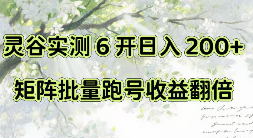 一台电脑就能做！灵谷实测6开日入200+，矩阵批量跑号收益翻倍【揭秘】-副业资源网