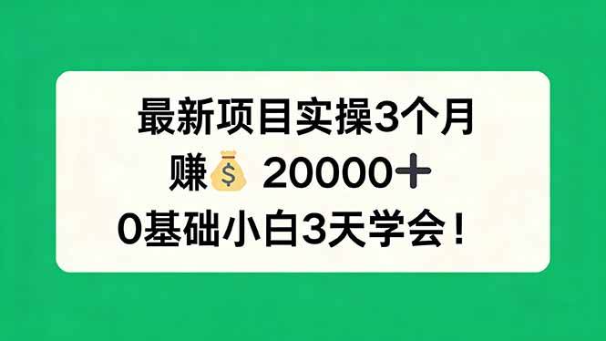 （17856期）最新项目实操3个月，赚钱20000+，0基础小白3天学会！-副业资源网