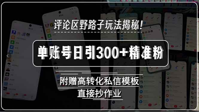 （15466期）评论区野路子玩法揭秘！单账号日引300+精准粉，附赠高转化私信模板，直…-副业资源网