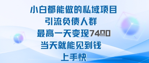 2025年小白都能做的私域项目引流负债人群最高一天变现1k+高变现难度低当天就能见到钱上手快-副业资源网