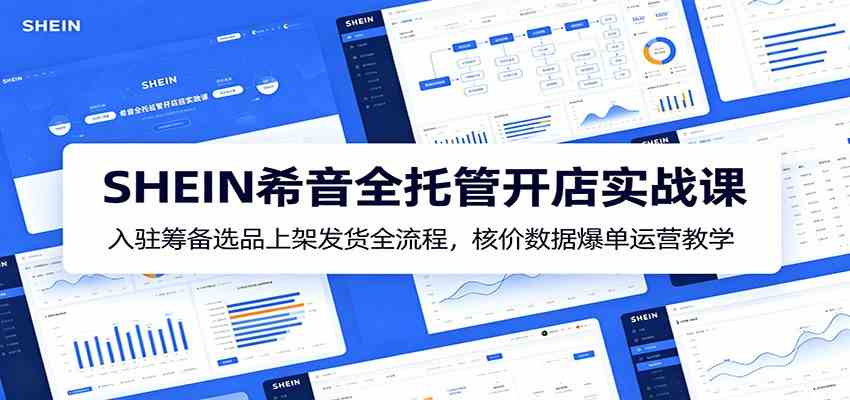 SHEIN希音全托管开店实战课：入驻筹备选品上架发货全流程，核价数据爆单运营教学-副业资源网