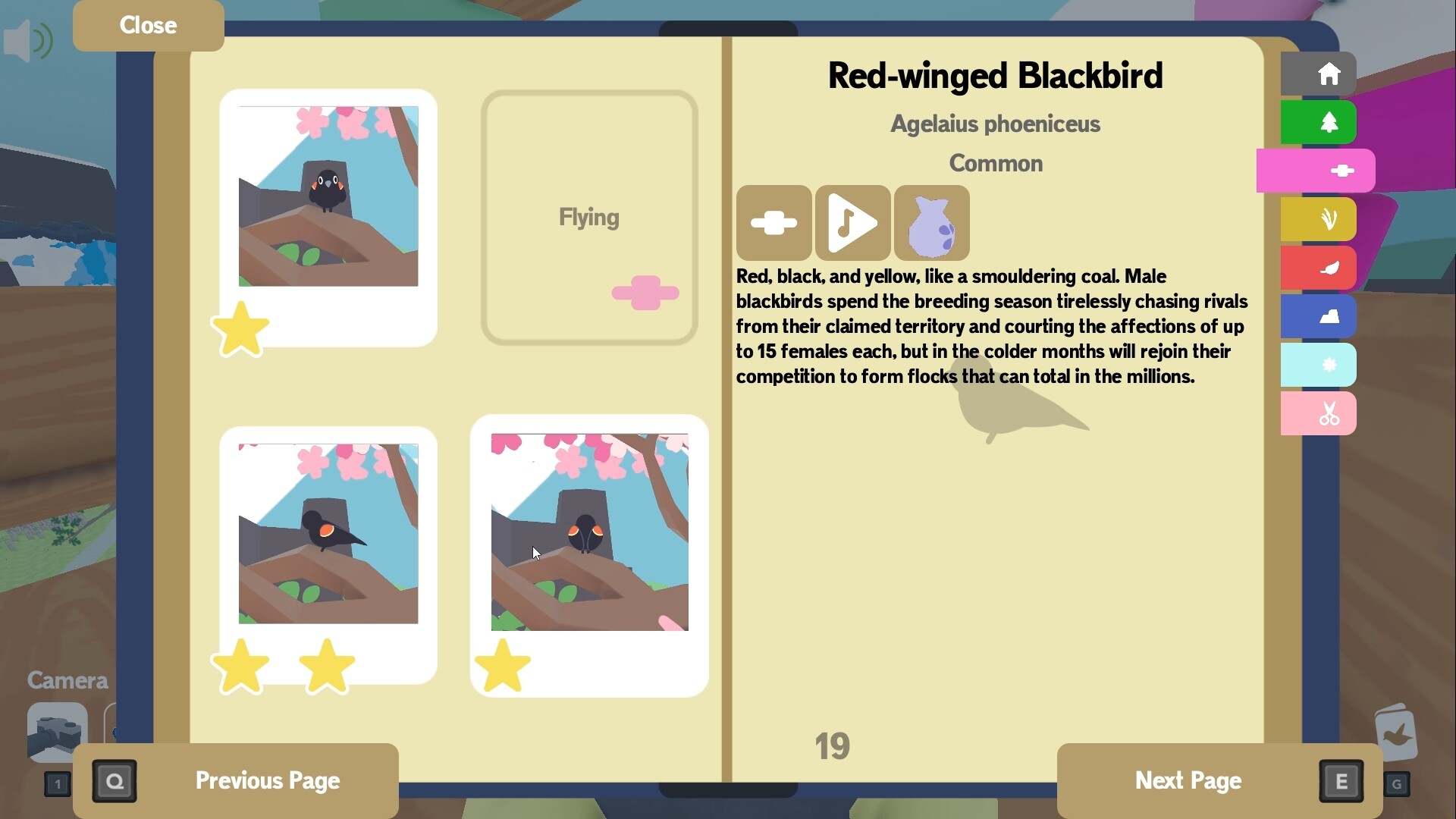 成群结队/Flock Around