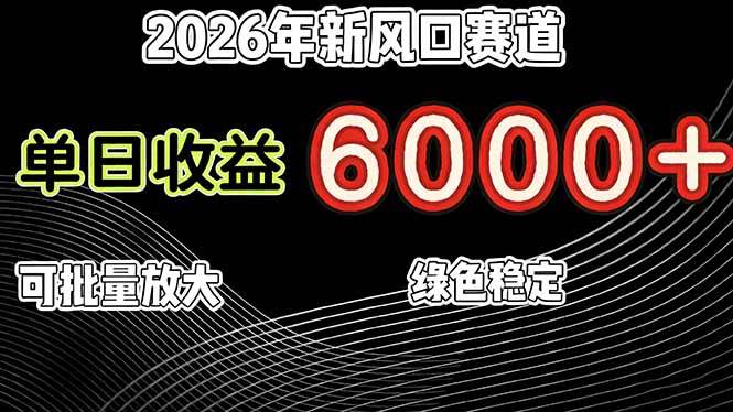 （17135期）2026年新风口赛道，当日6000+以上，可批量放大，月收入20万+，长期绿色稳定的项目-副业资源网