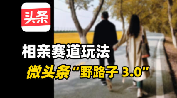 微头条“野路子3.0”相亲赛道玩法，搬砖式操作单号稳定3张-副业资源网