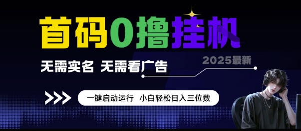 首码0撸挂G项目，无需实名无需看广告 一键启动运行，小白轻松日入三位数【揭秘】-副业资源网