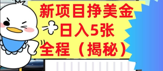 最新挣美金项目，日入5张，全程揭秘，小白也能轻松入手，长久被动收入-副业资源网