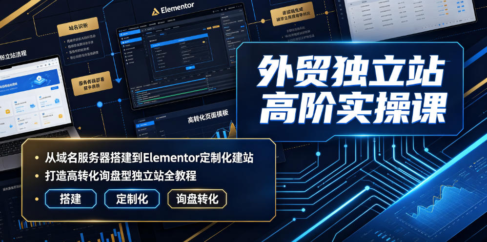 外贸独立站高阶实操课｜从域名服务器搭建到Elementor定制化建站，打造高转化询盘型独立站全教程-副业资源网