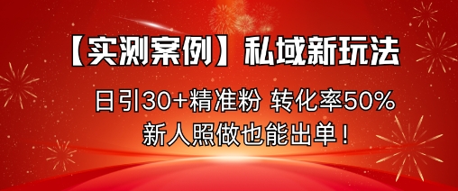 【实测案例】私域新玩法，日引30+精准粉，转化率50%，新人照做也能出单！-副业资源网