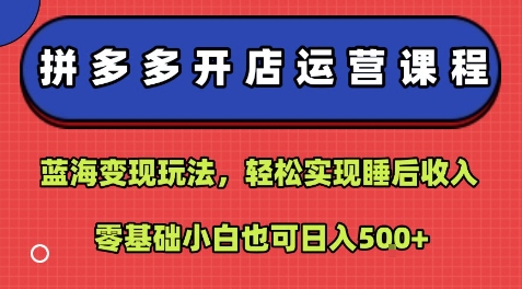 拼多多开店运营课程：蓝海变现玩法，轻松实现睡后收入，零基础小白也可日入5张-副业资源网