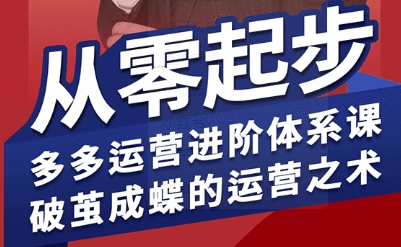 拼多多运营进阶系统课，从零起步，多多运营进阶体系课，破茧成蝶的运营之术-副业资源网