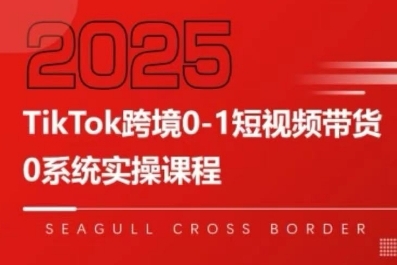 TikTok跨境0-1短视频带货，系统拆解TikTok跨境带货全链路，实现跨境可持续盈利-副业资源网