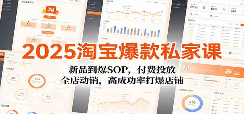 2025淘宝爆款私家课：新品到爆SOP，付费投放，全店动销，高成功率打爆店铺-副业资源网