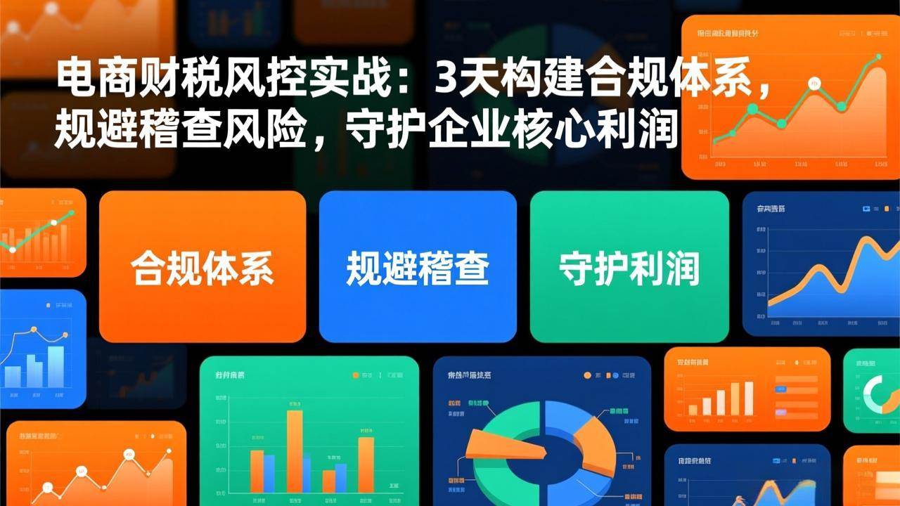 （17197期）电商财税风控实战：3天构建合规体系，规避稽查风险，守护企业核心利润-副业资源网