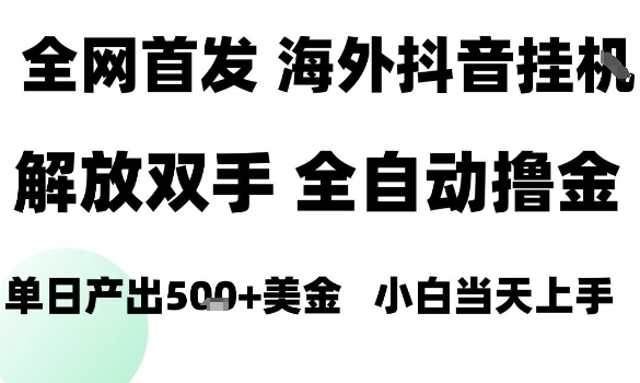 海外抖音无人直播，单日产出1.5k+，长期稳定，新手可玩，无脑操作【揭秘】-副业资源网