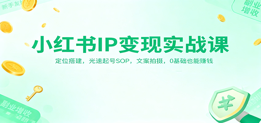 小红书IP变现实战课：定位搭建，光速起号SOP，文案拍摄，0基础也能赚钱-副业资源网
