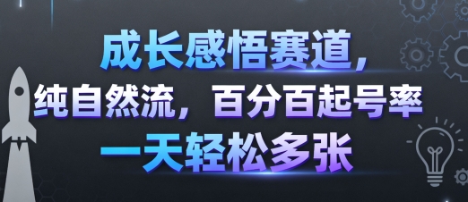 成长感悟赛道，纯自然流，百分百起号率 一天轻松多张-副业资源网