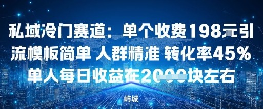 私域冷门赛道：单个收费198米引流模板简单人群精准转化率45%单人每日收益在1k+-副业资源网