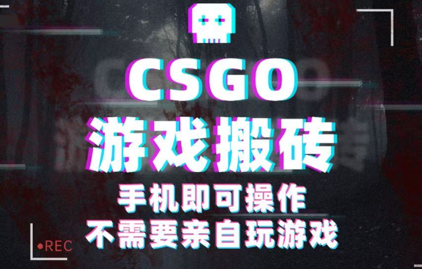 CSGO游戏挂机捡漏，单日扫货500+，年底小高峰上车可吃肉，手机即可操作兼职副业-副业资源网