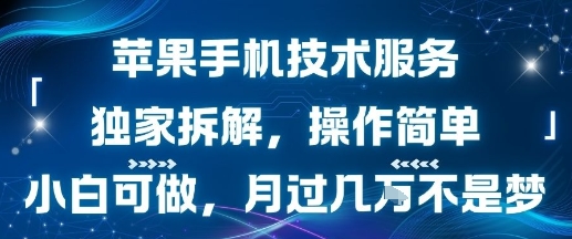 苹果手机技术服务，独家拆解，操作简单，小白可做，月过1W不是梦-副业资源网