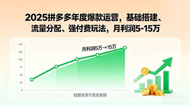 （15973期）2025拼多多年度爆款运营，基础搭建、流量分配、强付费玩法，月利润5-15万-副业资源网