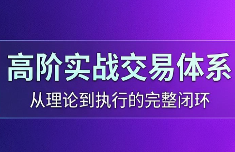 高老师·高阶实战交易体系(更新6月)-副业资源网