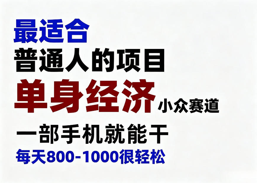 身经济小众赛道，一部手机就能干，每天搞个800-1000很轻松，最适合普通人的项目【揭秘】-副业资源网