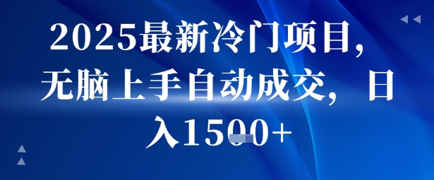 2025最新冷门项目，无脑上手自动成交，日入多张-副业资源网