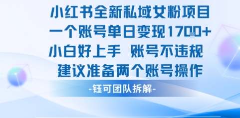 小红书全新私域女粉项目 单日变现1k+ 小白好上手账号不违规-副业资源网